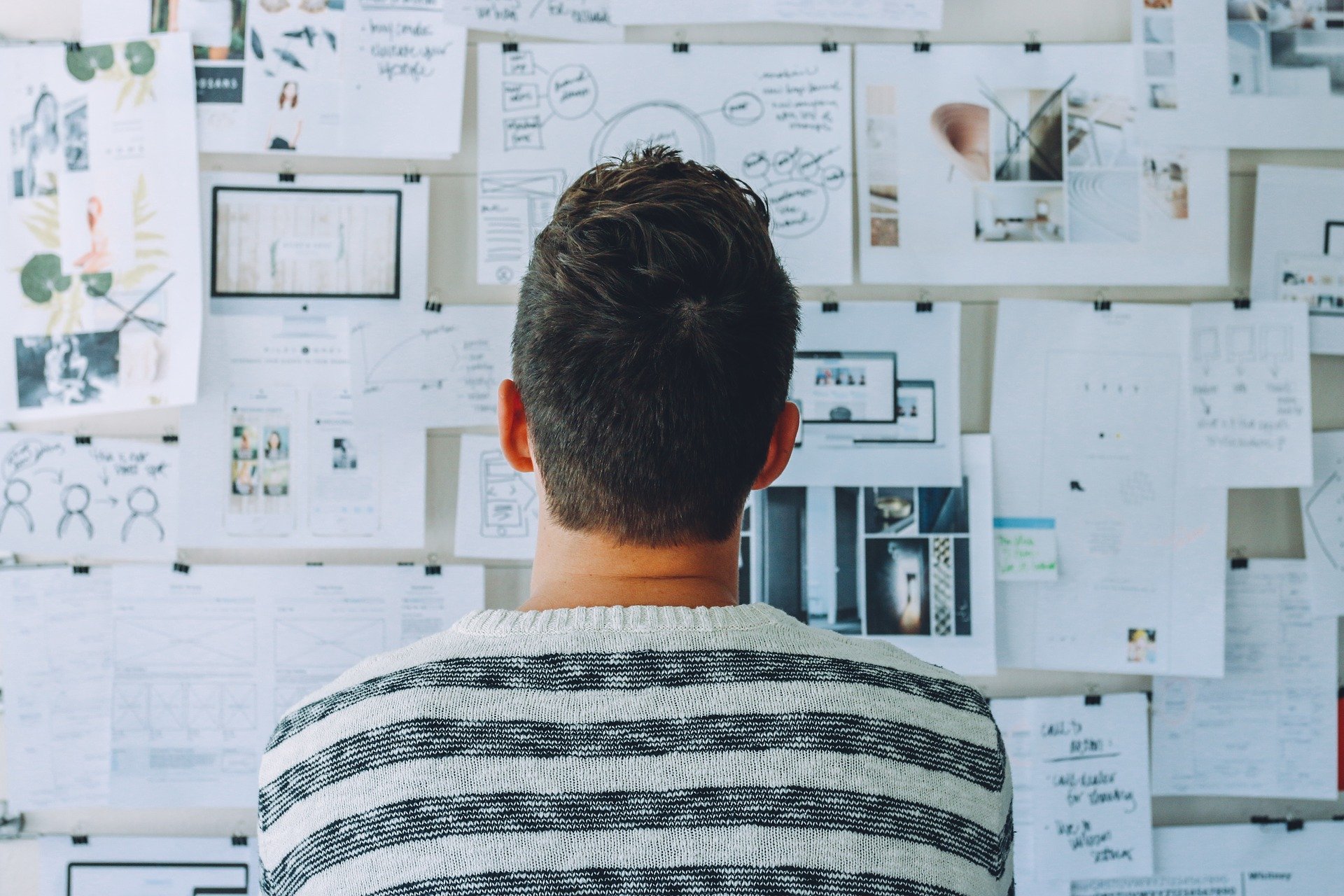 Create your own business or NGO with our support!